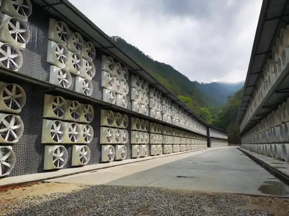 Innovative Mining Farm Setup