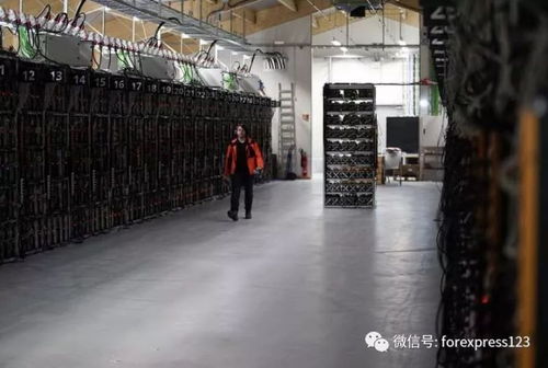 Mining farm with solar panels